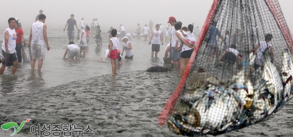 제2회 옹진군 북도해변축제! 장봉 한그물 페스티발