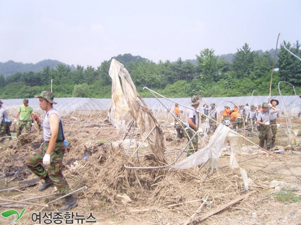 고양시 덕양구 우기피해 농가 복구작업