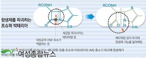 美감염학회]내성(耐性)을 키운 박테리아  병원과 의료계