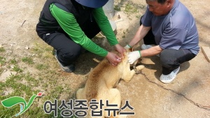 인천시 옹진군, 축산농가 가축전염병 예방접종 실시