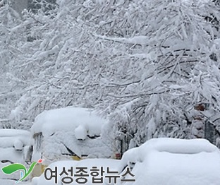 포털사이트  ‘부산 폭설’ 실시간 검색어 