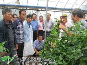  평택시농업기술센터 '작지만 강한농업'