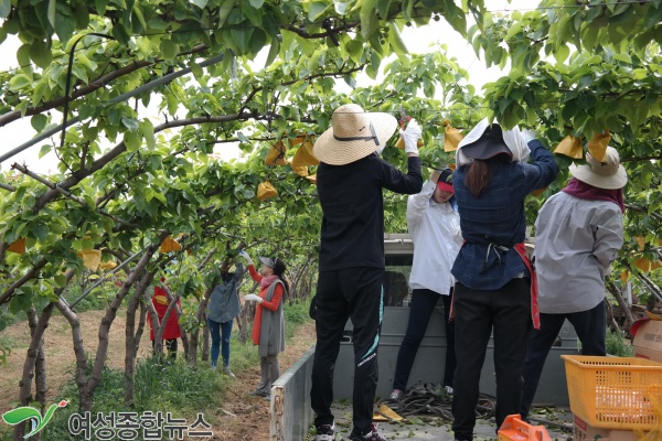 평택대학교 간호학과, 농촌봉사활동 실시