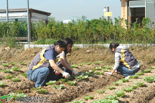 영등포구, 주말농장 ‘꿈이 닿은 농장’