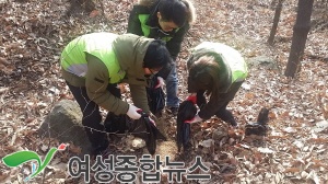 성남시,민·관·군 합동 겨울철 야생동물 먹이 주기 행사 전개