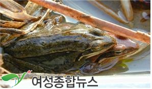 서울시 길동생태공원 개구리관찰교실 운영 