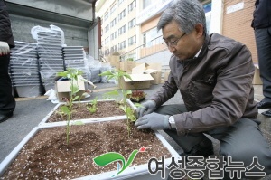 구로구, 상자텃밭 분양 신청하세요