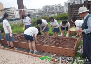 마포구 망원2동, 학생자원봉사단과 함께 옥상텃밭 가꿔