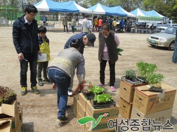 노원구 온가족과 함께 친환경 상자텃밭 가꿔요