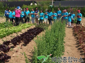 광진구, 현장체험으로 학습효과‘쑥쑥’