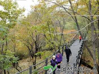  서대문 안산(鞍山) 단풍길 걷기