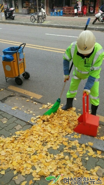 마포구 ‘돈’ 드는 낙엽, ‘돈’ 되는 낙엽으로 탈바꿈