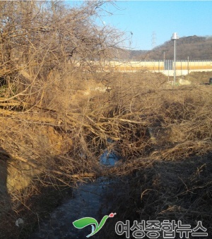 안산시, ‘안전한 하천 만들기 사업’추진