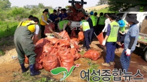 평택시 건설교통사업소, 안성천 환경정화 활동