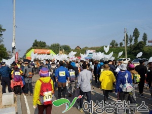 경기 김포 염하강 가을풍경에 푹 빠지다