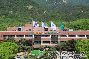 과천시, 전통시장 청년상인 창업지원 사업단장 모집