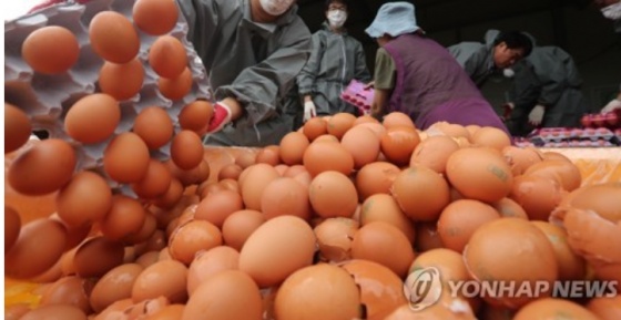 '살충제 계란' 전국 유통 '적발 농가 7곳 중 6곳이 친환경 인증'