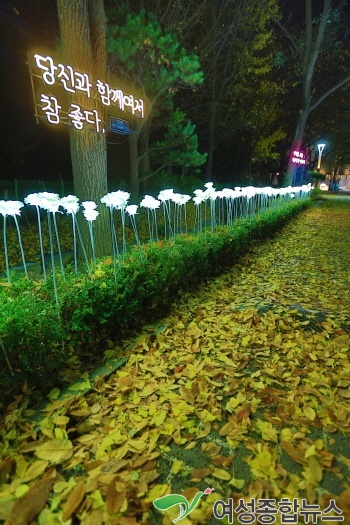 과천시, ‘마음에 기록하는 과천의 빛’ 행사, 12월 한 달 간 운영