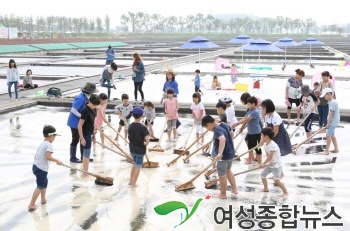 시흥갯골축제, 2018 경기관광대표축제 선정