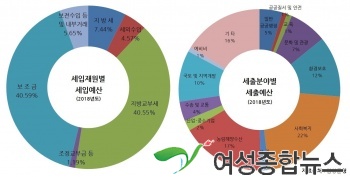 담양군, 2018년 살림규모 3,677억원… 전년比 426억원 증가