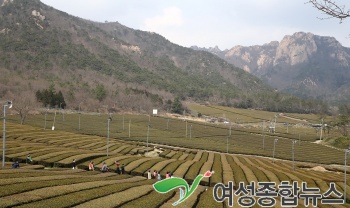 봄 소풍 가고 싶은 곳, 강진 성전 월출산