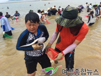 함평군 돌머리 해수욕장, 뱀장어 잡기 체험 성황