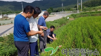 진도군 폭염 피해 최소화를 위한 ‘현장기술지원단’ 운영 