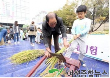 금천구, 가을걷이 도시농업 축제 한마당 ‘풍성’