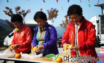 구례군, 제4회 섬진강 예감축제 열려