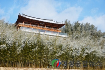 담양군, 한복 입고 죽녹원 놀러오세요