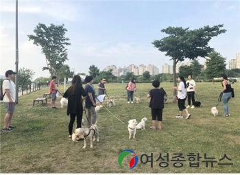 강동구 반려동물 천만 시대, 비반려인과 갈등 없이 행복하게 기르세요