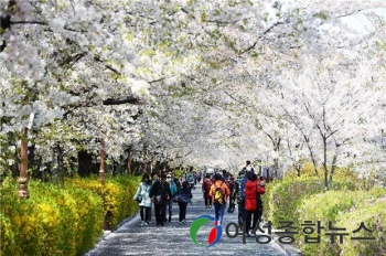 동대문 봄꽃축제’ 부스 참여자 모집