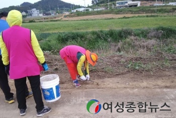 신안군 지도읍, 자전거길 꽃씨 심기 행사 가져