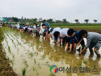 전남도, 전통 모심기도 해보고 남도들노래 시연도 보고