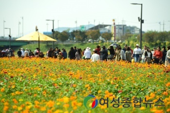 장성군,  올 가을 꽃길을 걷고 싶다면 장성으로