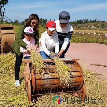 전남 농업박물관, 전통 방식 벼 수확체험....