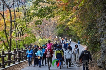 구례 단풍놀이 인파로 북적, 제43회 지리산피아골단풍축제 성료