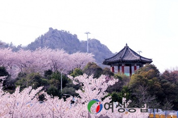  목포시, 유달산 봄 축제 전면 취소..코로나19 차단에 집중