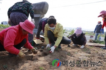  보성군, 득량면 ‘보성600 사업' 색 맛 멋을 더하다  