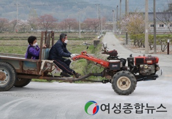 강진 군민들 소중한 한 표 행사를 위해