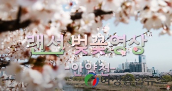 양천구 유튜브 채널 ‘랜선벚꽃구경’ 떠나 보세요!