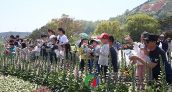 함평 나비대축제  취소‧‧‧“지역과 군민 안전이 우선“