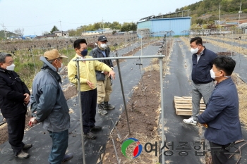 전동평 영암군수, 무화과 한파 피해 현장 방문 농가 애로사항 청취 및 격려 