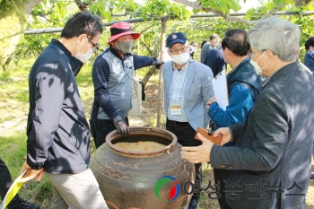 나주시 '나주 배' 국가중요농업유산 지정 잰걸음