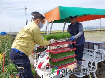 부안 백산면, 2021년 첫 모내기 실시 