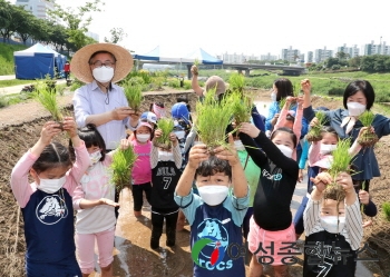 금천구, 안양천 생태텃논 개장