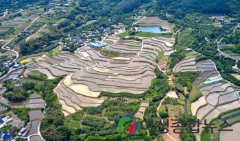 구례군 사포마을 다랭이논 모내기