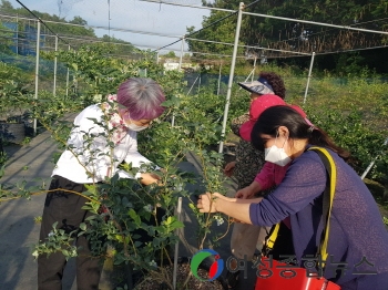 해남군 생활관광아카데미, 푸소체험 벤치마킹 방문