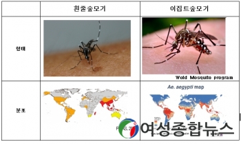 인천시, 해외유입 모기매개감염병 감시사업 운영