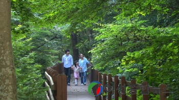 순창 공기가 참 좋다! 청정 공기 기준에 적합함이 과학적으로 입증